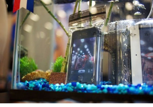 loksak bag submerged in fish tank showing level of waterproof